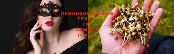 кокаин премиум Горнозаводск