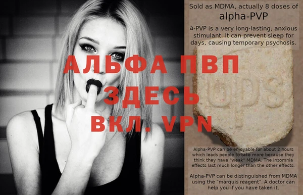 гашик Гусиноозёрск