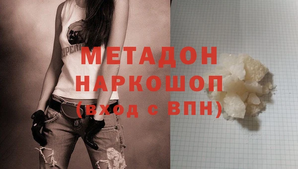 прущие грибы Гусев