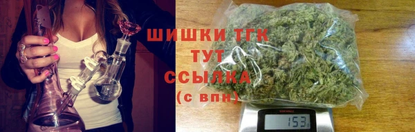 мдпв Семилуки