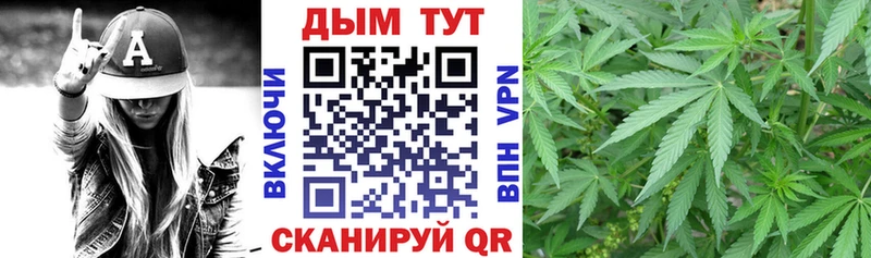 Шишки марихуана тримм  KRAKEN зеркало  Мещовск  купить  цена 